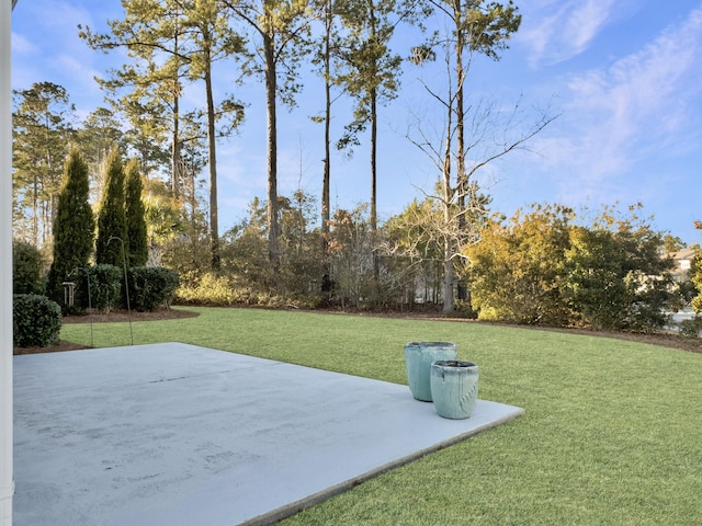 view of yard with a patio area