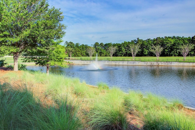 view of water feature