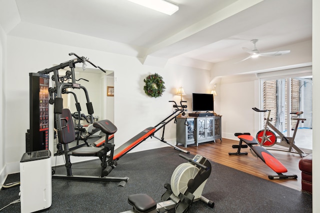 workout room featuring hardwood / wood-style floors and ceiling fan