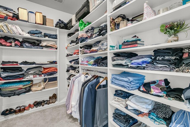 1182 Welcome Dr, Mount Pleasant, SC 29464 - walk in closet with carpet floors