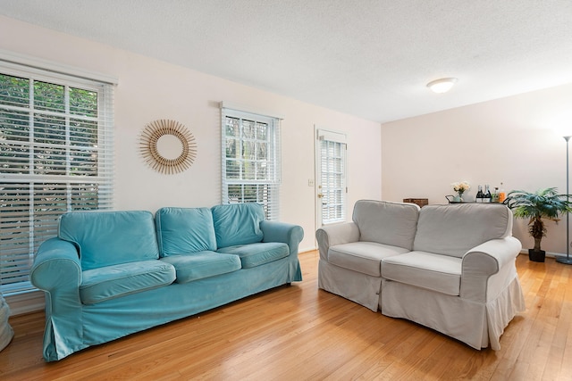 living room with a textured ceiling and light hardwood / wood-style flooring