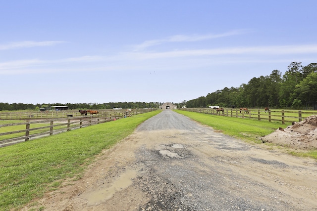3998 Capensis Ln, Ravenel, SC 29470 - view of dirt / gravel road with a view of countryside