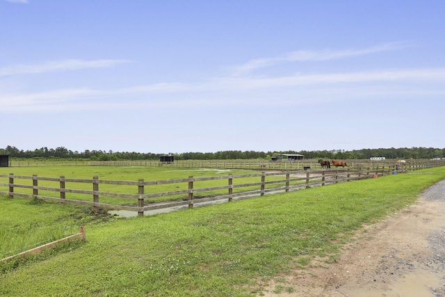 3998 Capensis Ln, Ravenel, SC 29470 - view of yard featuring a rural view