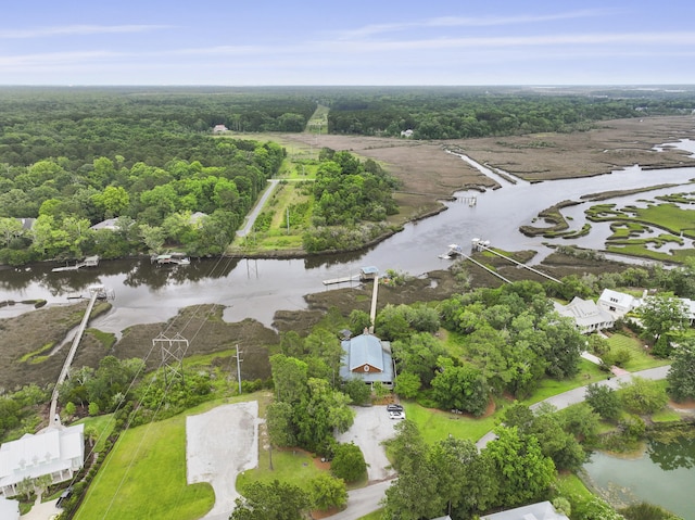 3998 Capensis Ln, Ravenel, SC 29470 - bird's eye view of a large body of water