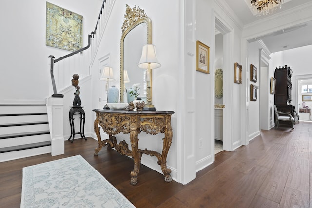 3998 Capensis Ln, Ravenel, SC 29470 - foyer featuring stairway, wood finished floors, and crown molding