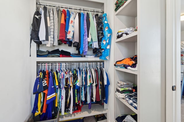 view of spacious closet