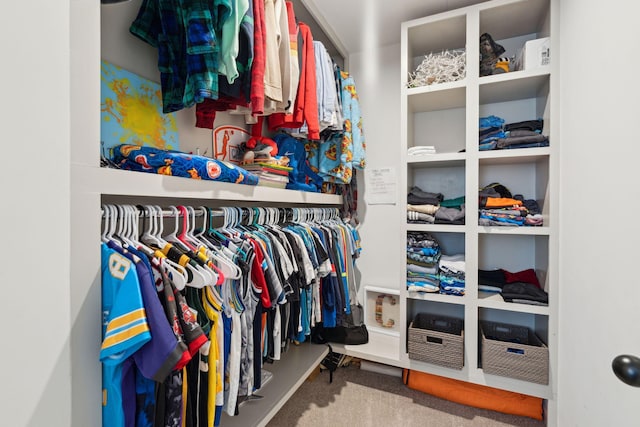 spacious closet with carpet flooring