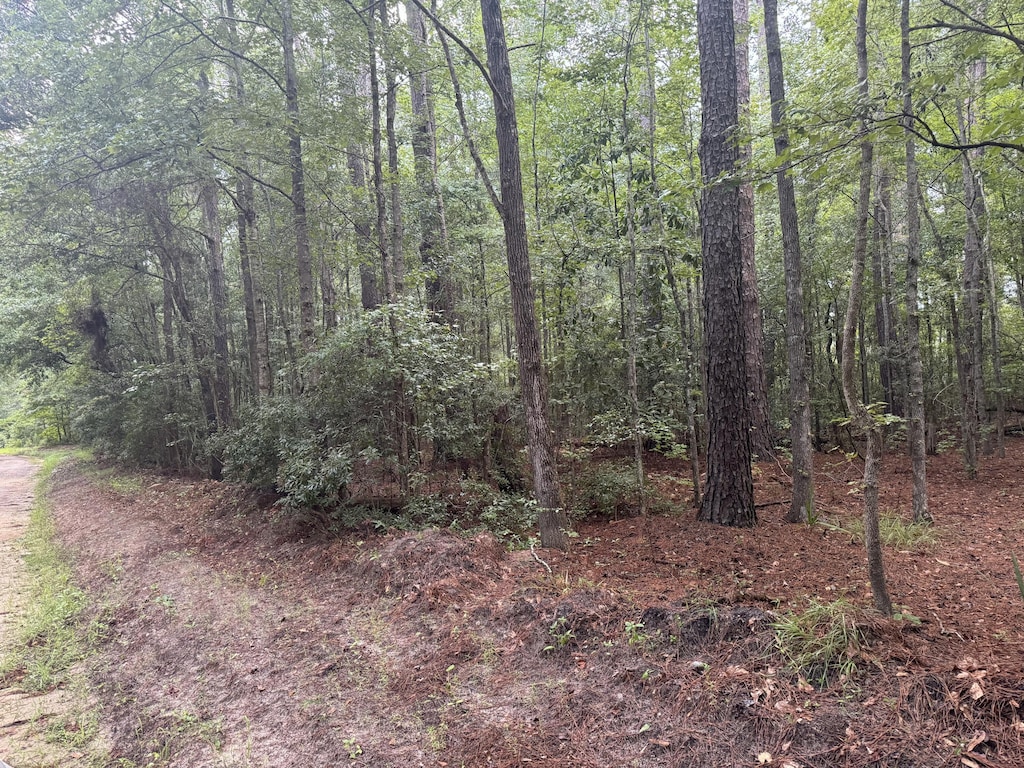 00 Charles St, Varnville, SC 29944