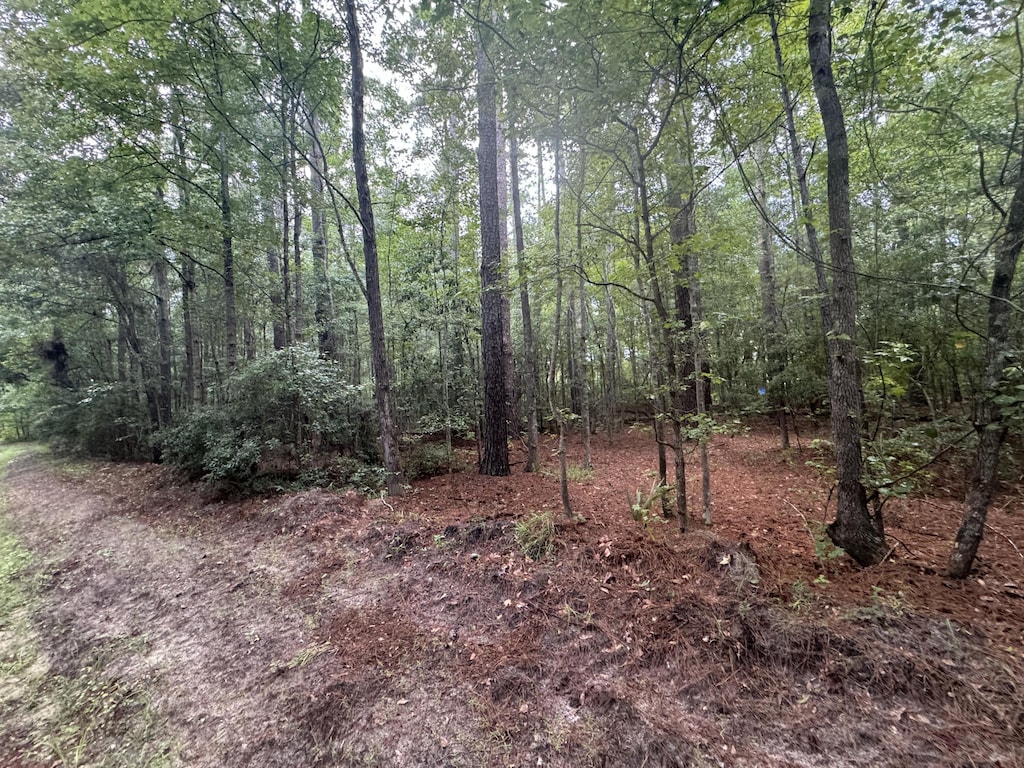 00 Charles St, Varnville, SC 29944