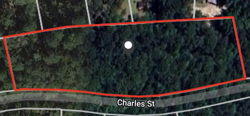 00 Charles St, Varnville, SC 29944