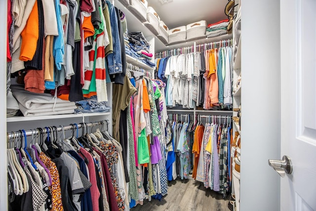 512 Castle Hall Rd, Mount Pleasant, SC 29464 - walk in closet featuring wood finished floors