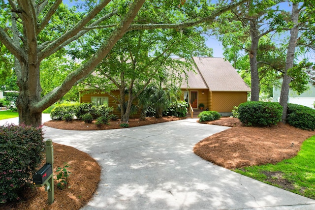 919 Overview Ct, Mount Pleasant, SC 29464 - view of front of property with concrete driveway