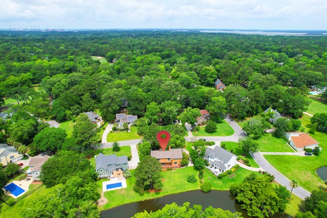 919 Overview Ct, Mount Pleasant, SC 29464 - bird's eye view of a heavily wooded area and a nearby body of water