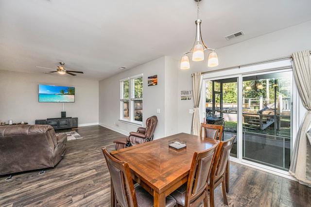 dining space with ceiling fan with notable chandelier, a healthy amount of sunlight, and dark hardwood / wood-style flooring