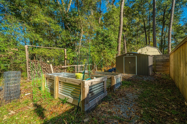 view of yard featuring a shed