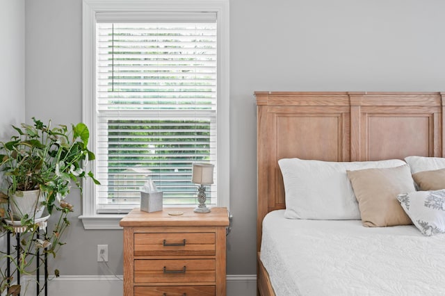 2802 Cavalcade Cir, Johns Island, SC 29455 - bedroom with multiple windows and baseboards