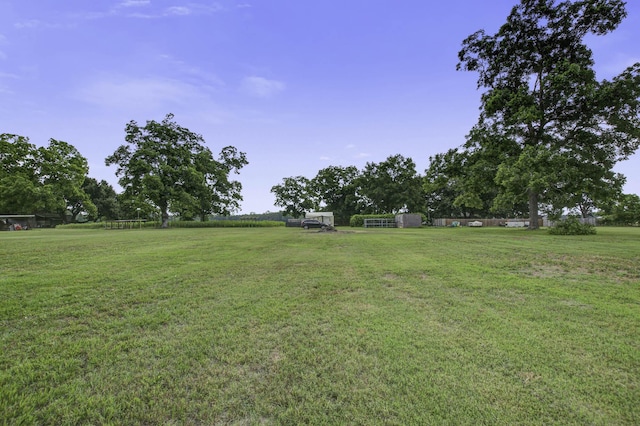 view of yard with a rural view