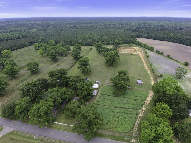 birds eye view of property with a rural view and a forest view