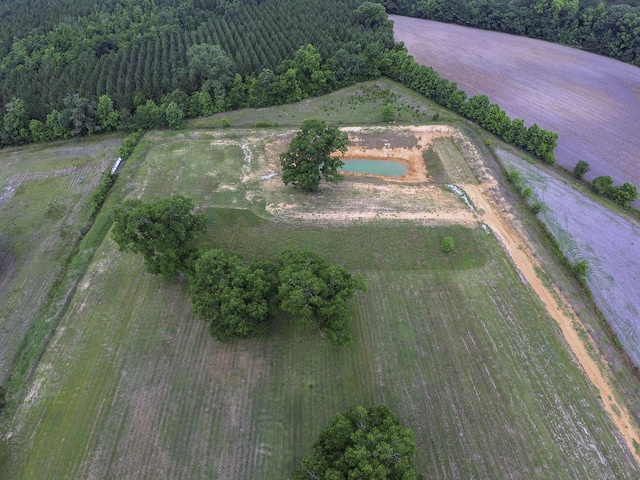 drone / aerial view with a forest view