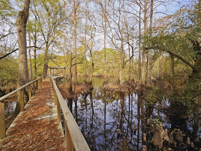 3695 Cannon Rd, Round O, SC 29474 - view of dock with a view of trees