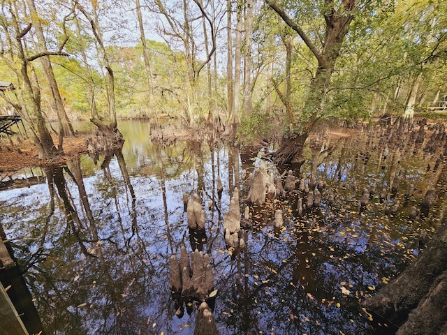 3695 Cannon Rd, Round O, SC 29474 - view of water feature with a forest view