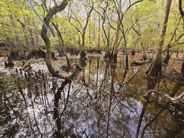 3695 Cannon Rd, Round O, SC 29474 - view of local wilderness with a wooded view