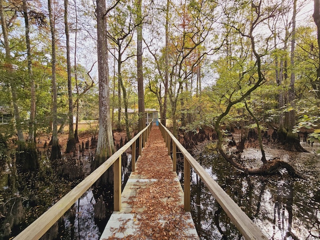 3695 Cannon Rd, Round O, SC 29474 - view of dock area
