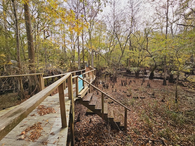 3695 Cannon Rd, Round O, SC 29474 - view of yard with stairs