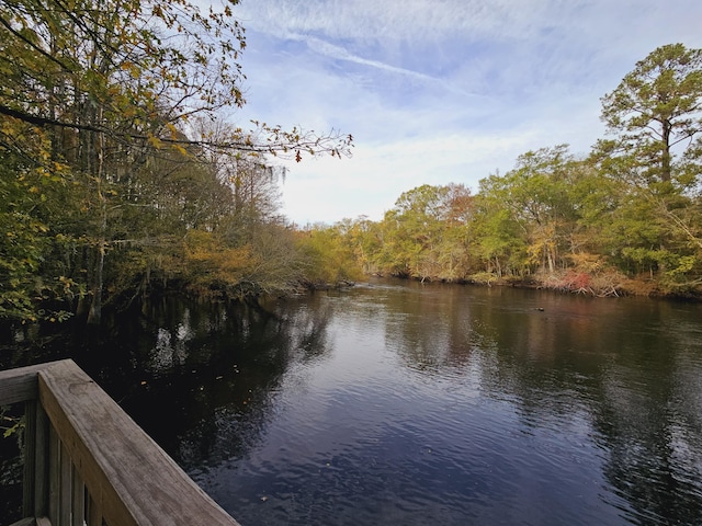 3695 Cannon Rd, Round O, SC 29474 - property view of water featuring a view of trees