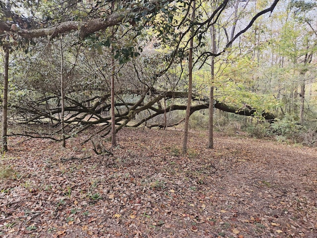 view of local wilderness featuring a wooded view