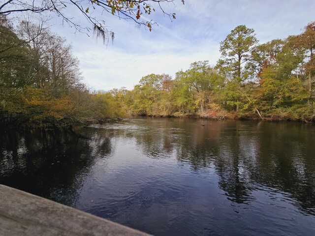 3695 Cannon Rd, Round O, SC 29474 - water view with a view of trees