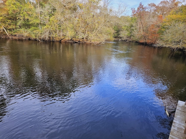 3695 Cannon Rd, Round O, SC 29474 - property view of water featuring a view of trees