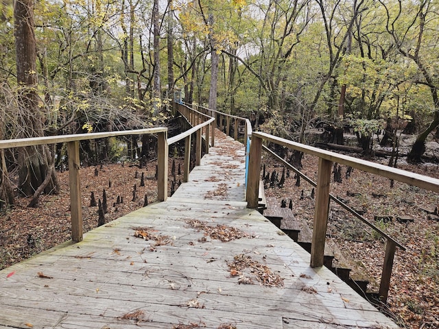 3695 Cannon Rd, Round O, SC 29474 - surrounding community with a view of trees