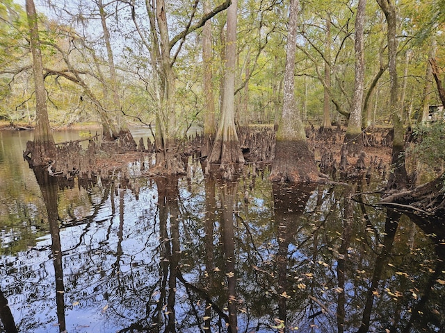 3695 Cannon Rd, Round O, SC 29474 - view of water feature with a view of trees