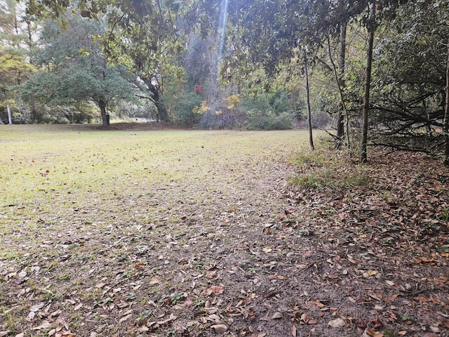 view of yard featuring a forest view