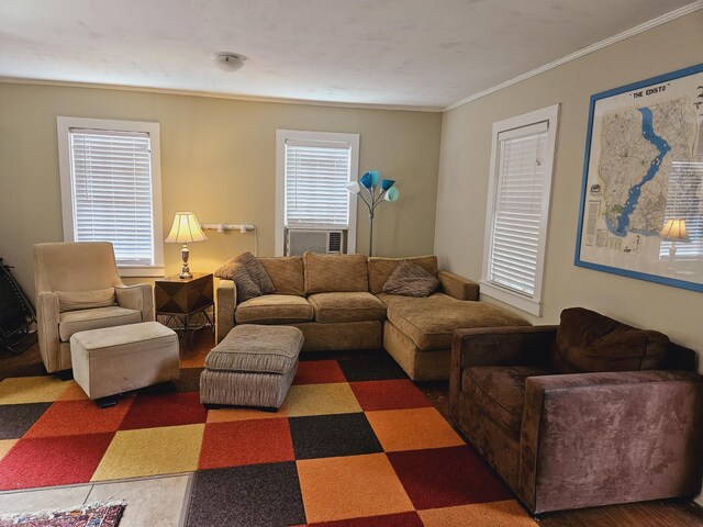 3695 Cannon Rd, Round O, SC 29474 - living area with ornamental molding