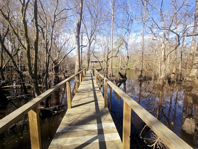 3695 Cannon Rd, Round O, SC 29474 - view of dock