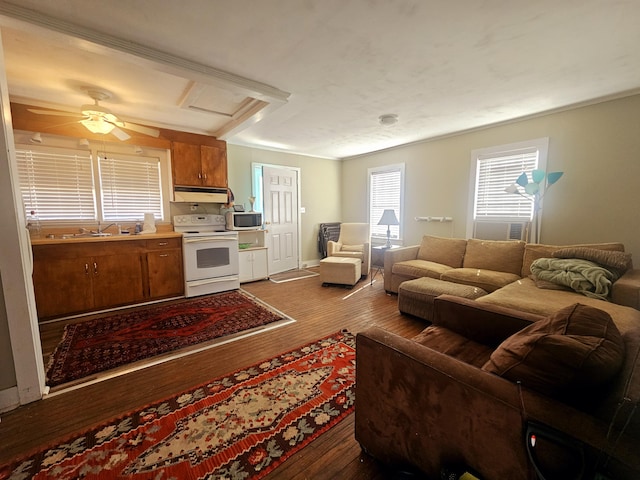 3695 Cannon Rd, Round O, SC 29474 - living area with attic access, dark wood finished floors, and ceiling fan
