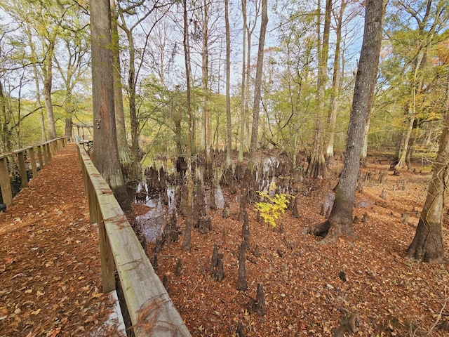 3695 Cannon Rd, Round O, SC 29474 - view of yard
