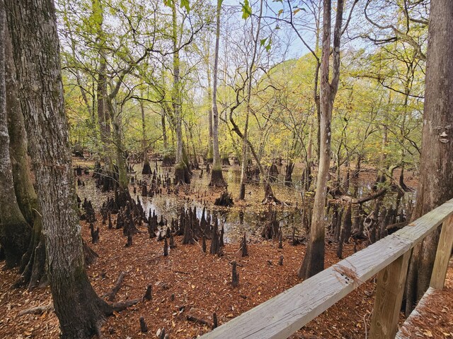 3695 Cannon Rd, Round O, SC 29474 - view of local wilderness featuring a forest view