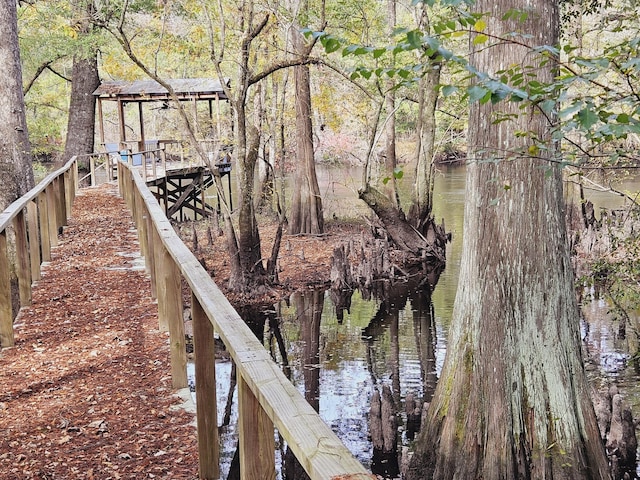 3695 Cannon Rd, Round O, SC 29474 - exterior space with a water view and a wooded view