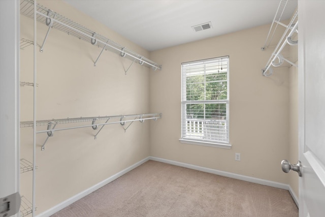 spacious closet featuring carpet