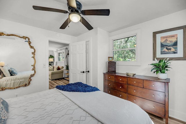 bedroom featuring wood finished floors, multiple windows, and ceiling fan