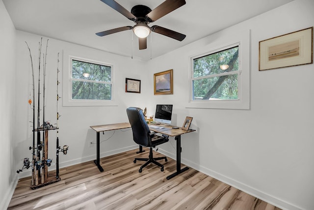 office space featuring healthy amount of natural light, light wood-style floors, and baseboards
