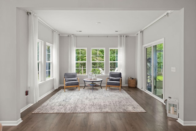 living area with dark hardwood / wood-style floors and a healthy amount of sunlight