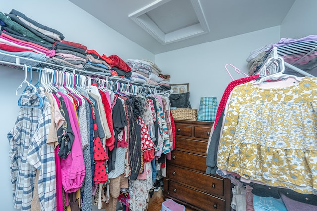 walk in closet featuring hardwood / wood-style floors