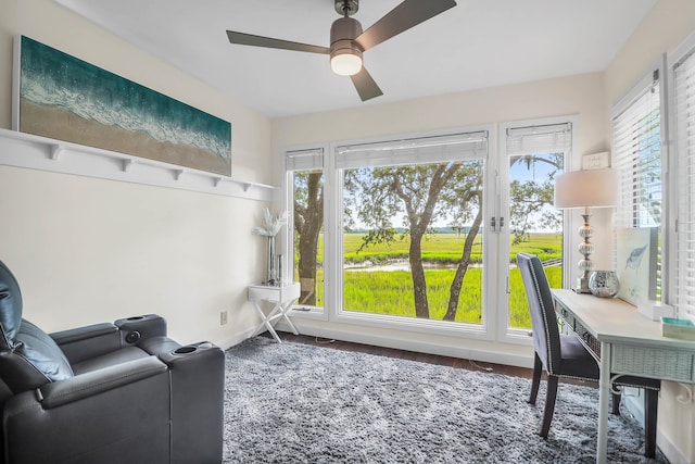 interior space featuring hardwood / wood-style flooring, ceiling fan, and plenty of natural light