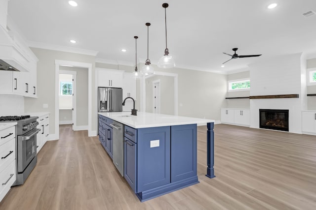 202 Countryside Way, Summerville, SC 29483 - kitchen featuring ornamental molding, appliances with stainless steel finishes, ceiling fan, and blue cabinetry