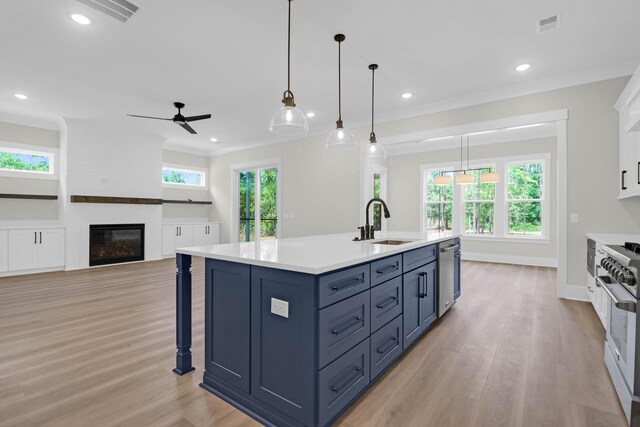 202 Countryside Way, Summerville, SC 29483 - kitchen featuring ceiling fan, a sink, light wood-style floors, a glass covered fireplace, and stainless steel appliances