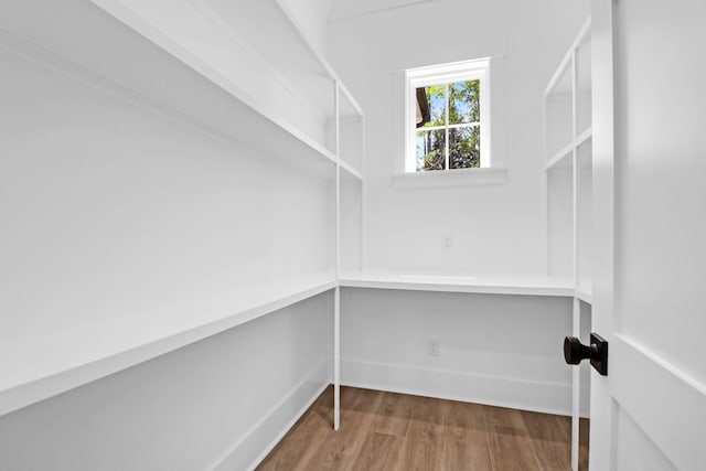 202 Countryside Way, Summerville, SC 29483 - view of pantry